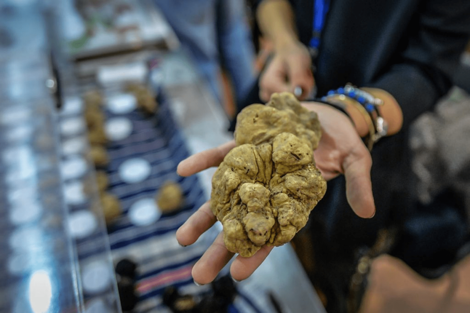 Funghi, Tartufo & Castagne – BG Header